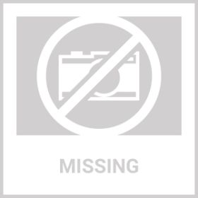 Cats And Dogs Liquid Herbal Medicine And Natural Broad Spectrum Treatment For Tapeworm Whipworm Roundworm And Hookworm Prevention Medication Supp (Option: Beloved Pets)